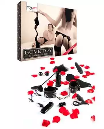 Lovetoy starter kit