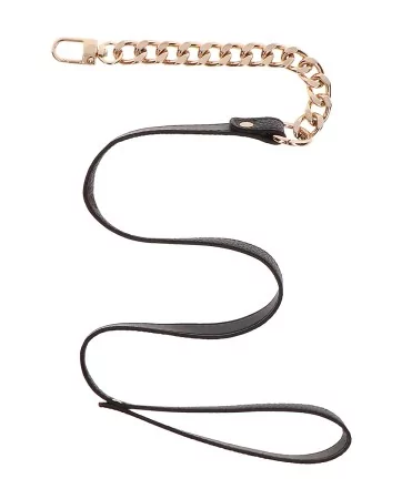 Collier et laisse Statement - Taboom