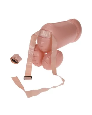 Jeu de combat coquin Cock Fighting 